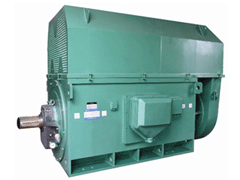 YJTFKK450-6Y系列6KV高压电机